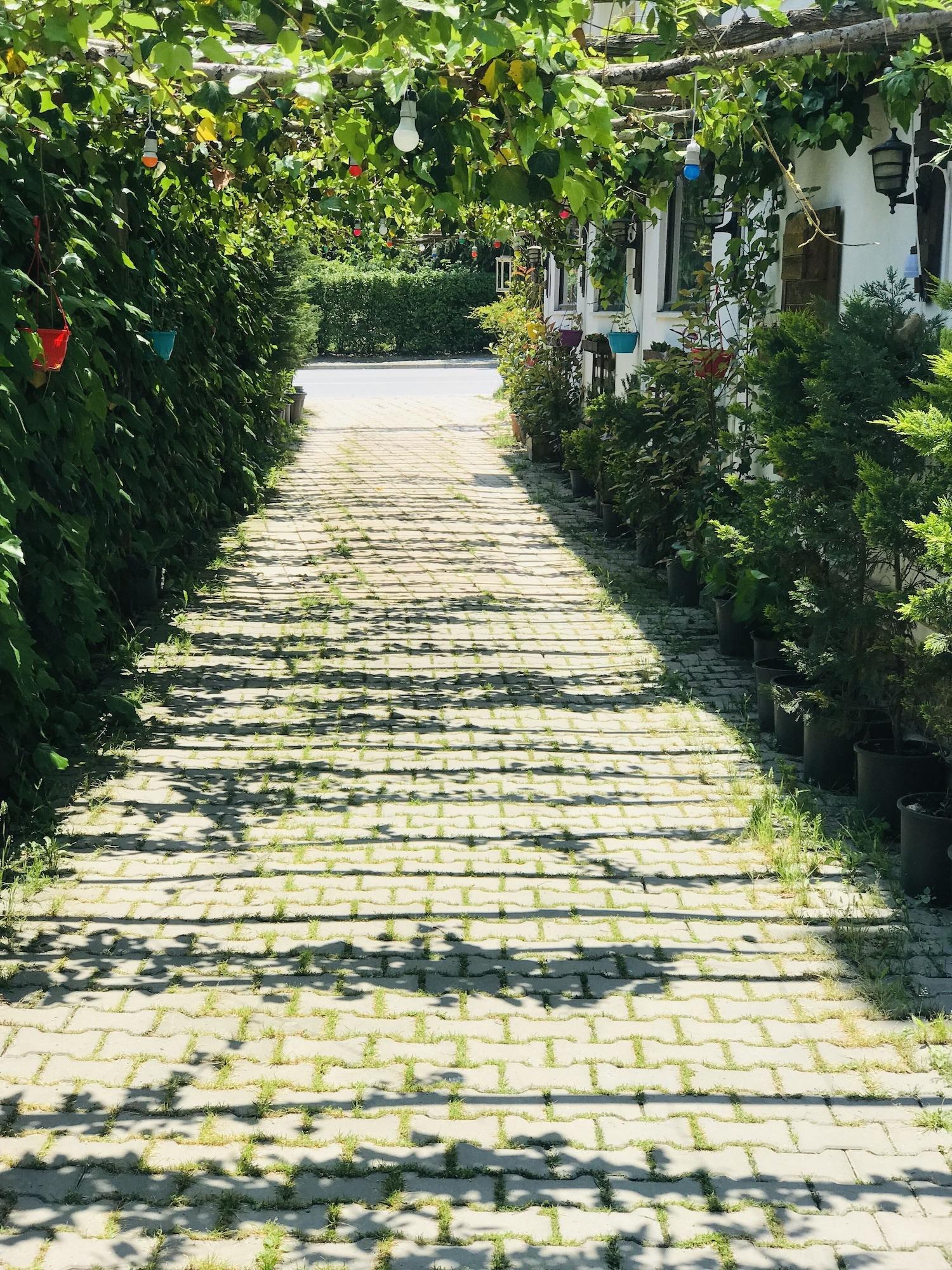 Sahra Butik Hotel サパンジャ エクステリア 写真