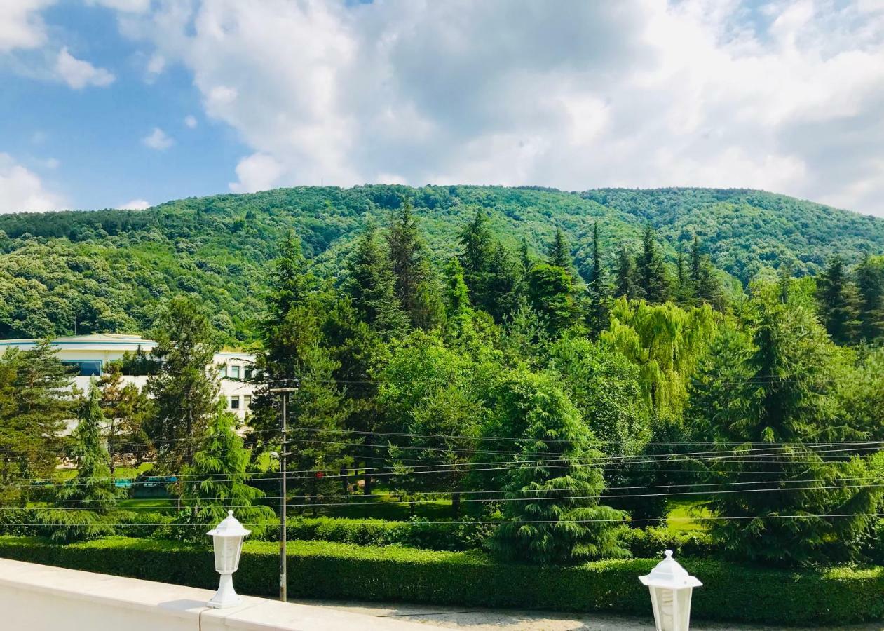Sahra Butik Hotel サパンジャ エクステリア 写真
